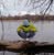 Stefan Dworzecki